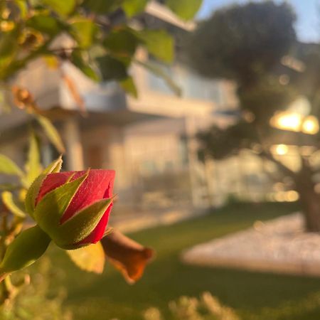 فيلا Altos De فينيسترات المظهر الخارجي الصورة